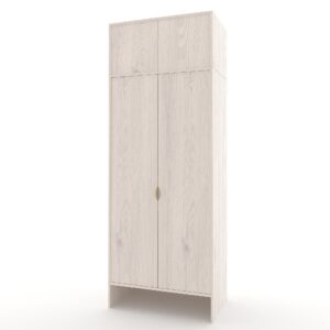Шкаф двухдверный из ДСП в прихожую 2000x900x550 мм Рейн